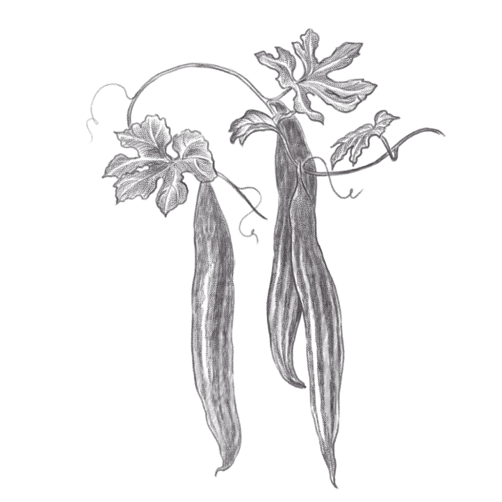 image-humsignature-datban-1