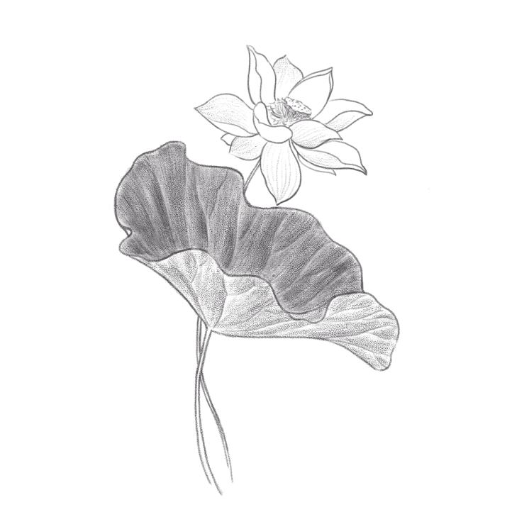 image-humsignature-datban-2