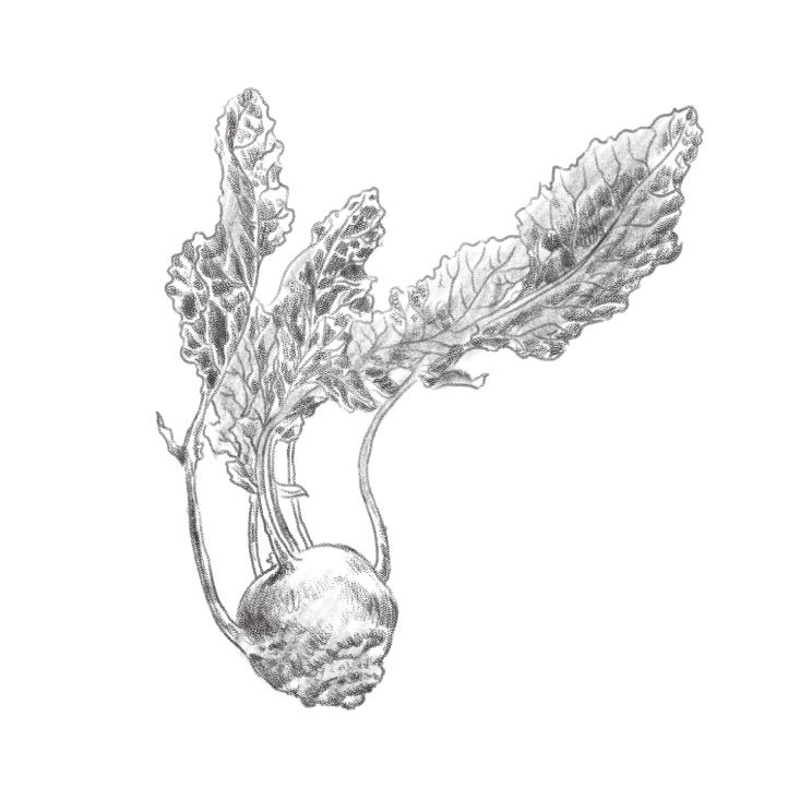 image-humsignature-datban-3