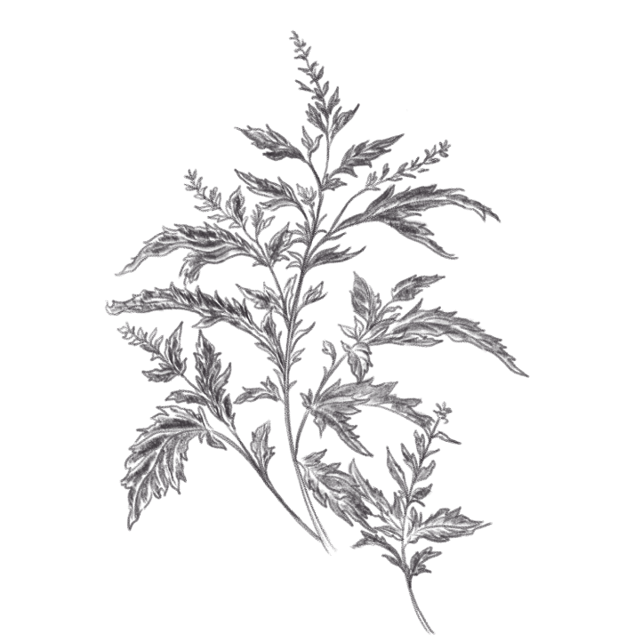 image-humsignature-datban-4