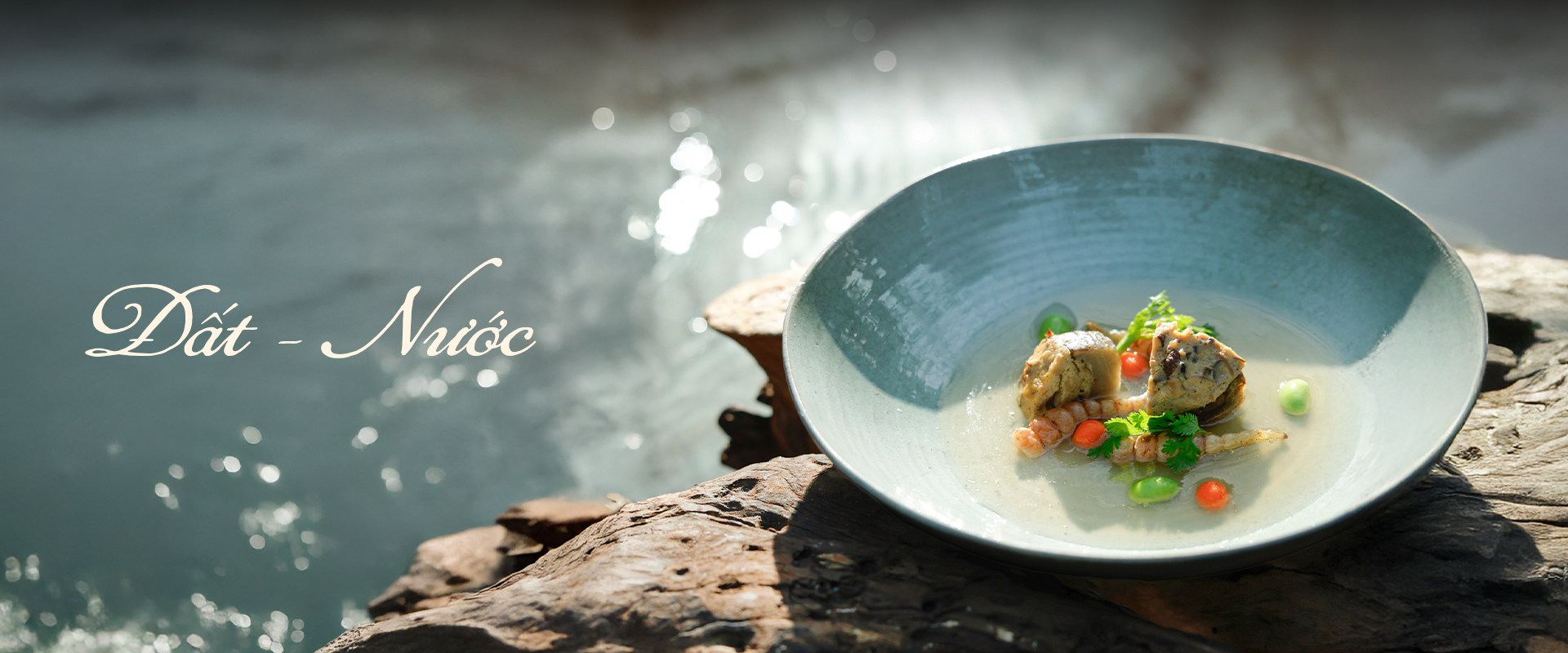 banner hum signature website