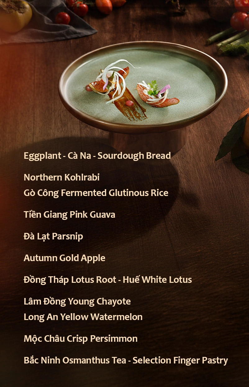 menu-mob copy en